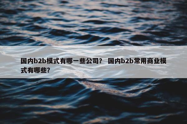国内b2b模式有哪一些公司？ 国内b2b常用商业模式有哪些？