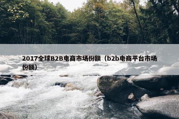 2017全球B2B电商市场份额（b2b电商平台市场份额）