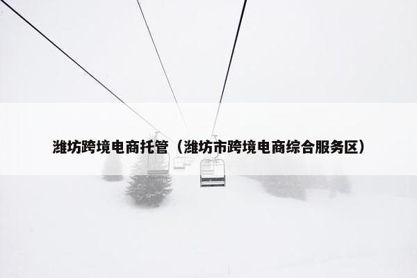 潍坊跨境电商托管（潍坊市跨境电商综合服务区）