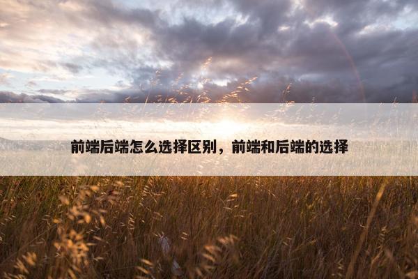 前端后端怎么选择区别，前端和后端的选择