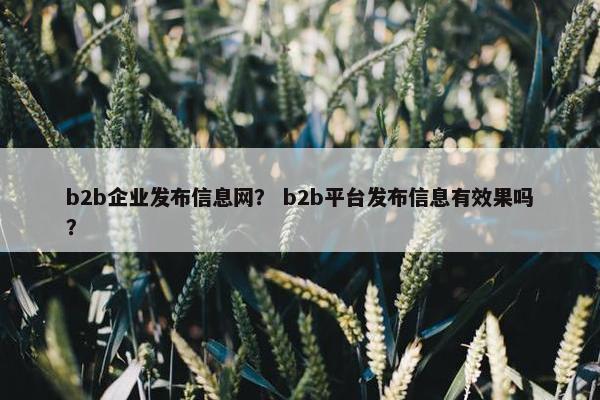 b2b企业发布信息网？ b2b平台发布信息有效果吗？