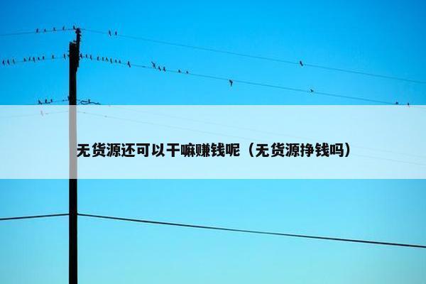 无货源还可以干嘛赚钱呢（无货源挣钱吗）