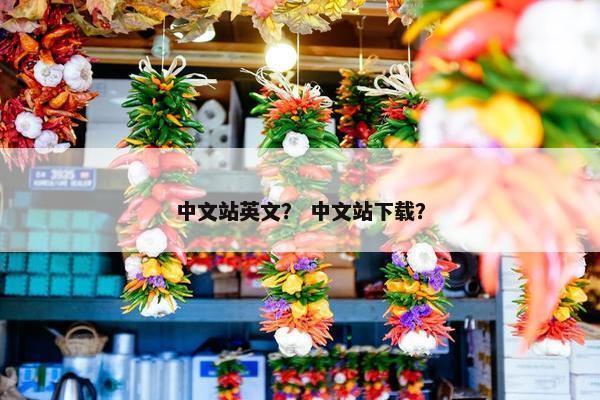 中文站英文？ 中文站下载？