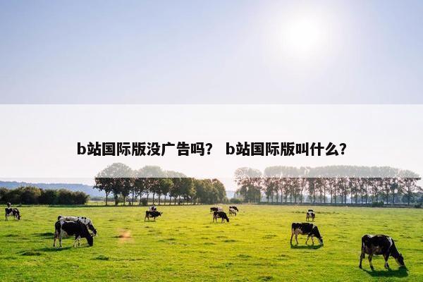 b站国际版没广告吗？ b站国际版叫什么？