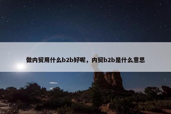 做内贸用什么b2b好呢，内贸b2b是什么意思