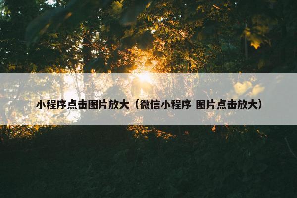 小程序点击图片放大（微信小程序 图片点击放大）