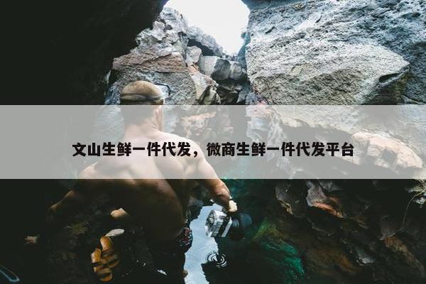 文山生鲜一件代发，微商生鲜一件代发平台
