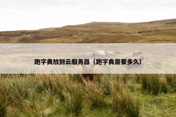 跑字典放到云服务器（跑字典需要多久）