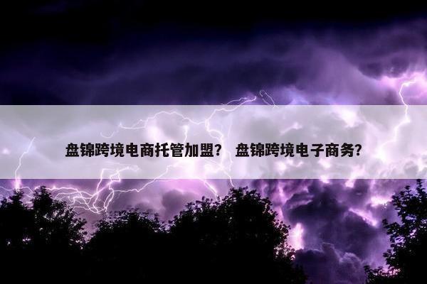 盘锦跨境电商托管加盟？ 盘锦跨境电子商务？