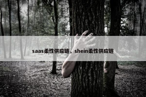 saas柔性供应链，shein柔性供应链