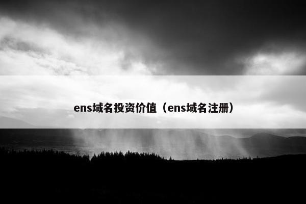 ens域名投资价值（ens域名注册）