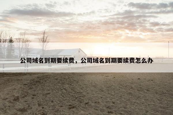 公司域名到期要续费，公司域名到期要续费怎么办