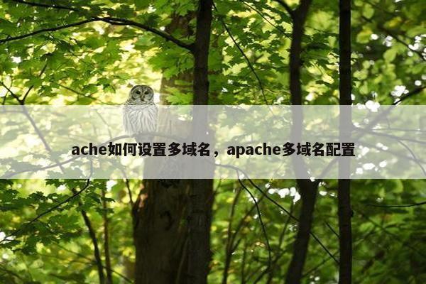 ache如何设置多域名，apache多域名配置