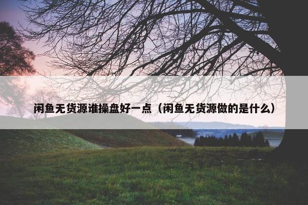 闲鱼无货源谁操盘好一点（闲鱼无货源做的是什么）