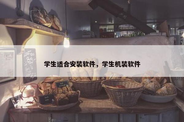 学生适合安装软件，学生机装软件