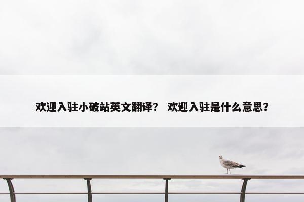 欢迎入驻小破站英文翻译？ 欢迎入驻是什么意思？