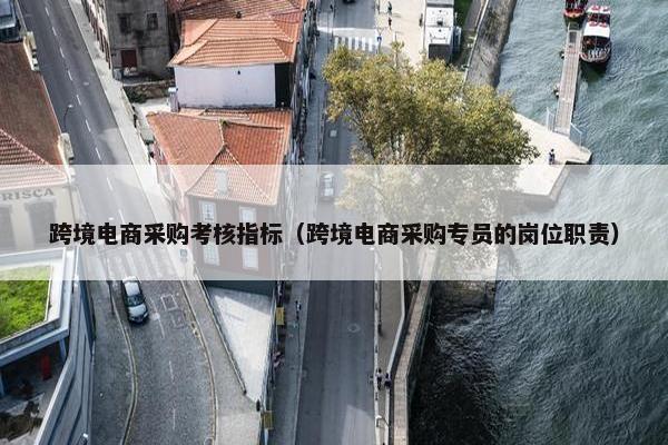 跨境电商采购考核指标（跨境电商采购专员的岗位职责）