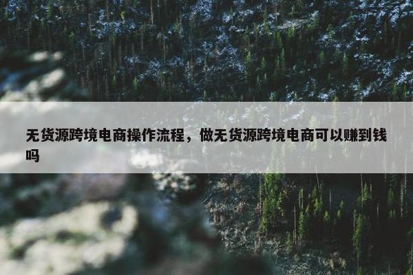 无货源跨境电商操作流程，做无货源跨境电商可以赚到钱吗