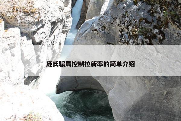 庞氏骗局控制拉新率的简单介绍
