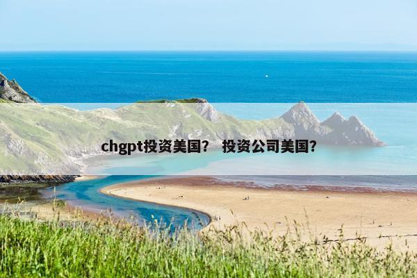 chgpt投资美国？ 投资公司美国？