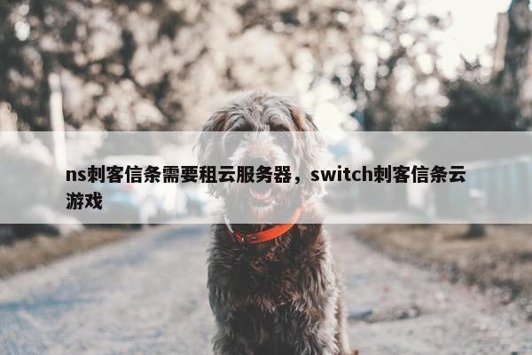ns刺客信条需要租云服务器，switch刺客信条云游戏
