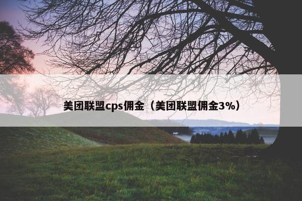 美团联盟cps佣金（美团联盟佣金3%）