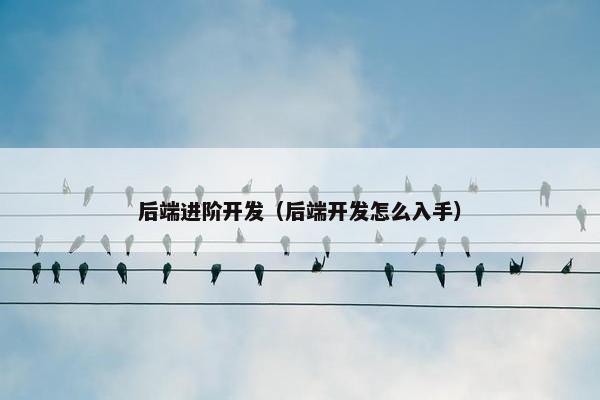 后端进阶开发（后端开发怎么入手）
