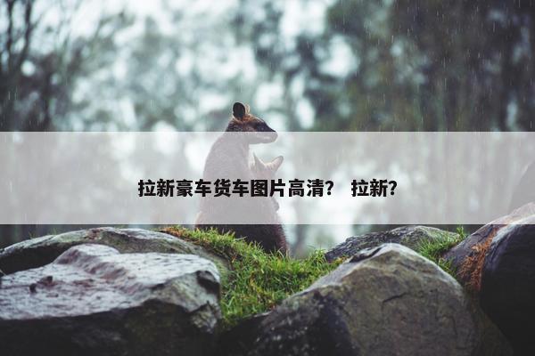 拉新豪车货车图片高清？ 拉新？