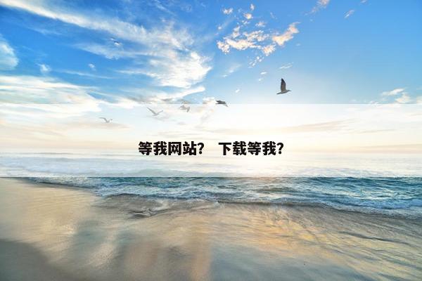 等我网站？ 下载等我？