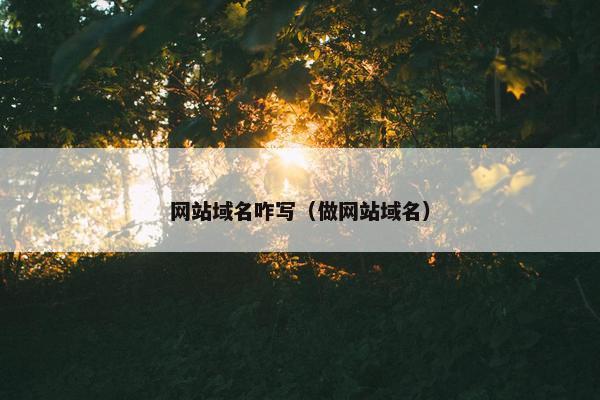 网站域名咋写（做网站域名）