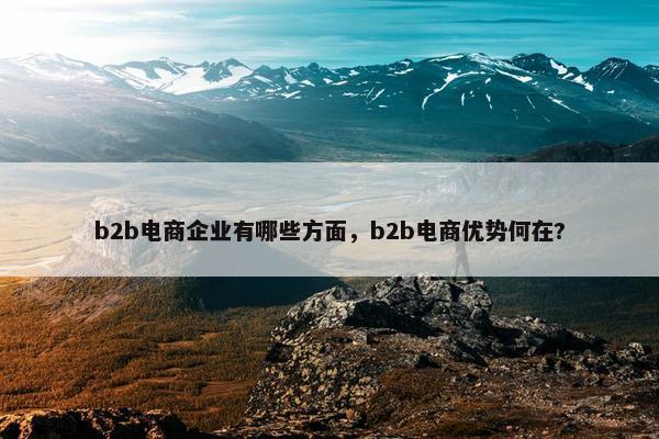 b2b电商企业有哪些方面，b2b电商优势何在?