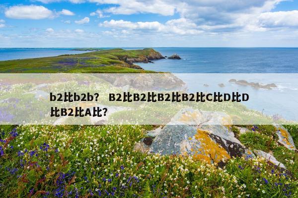b2比b2b？ B2比B2比B2比B2比C比D比D比B2比A比？