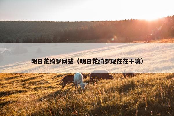 明日花绮罗网站（明日花绮罗现在在干嘛）