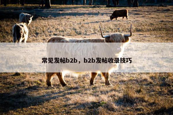 常见发帖b2b，b2b发帖收录技巧