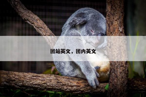 团站英文，团内英文
