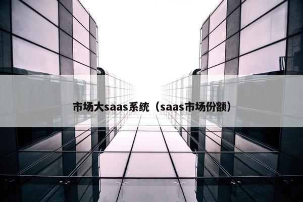 市场大saas系统（saas市场份额）