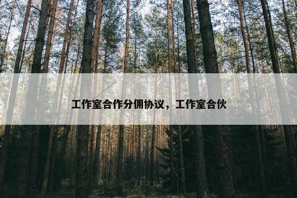 工作室合作分佣协议，工作室合伙