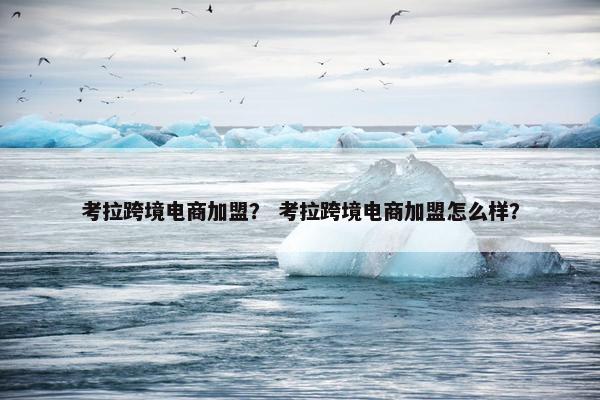 考拉跨境电商加盟？ 考拉跨境电商加盟怎么样？