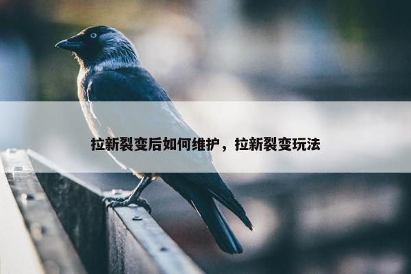 拉新裂变后如何维护，拉新裂变玩法