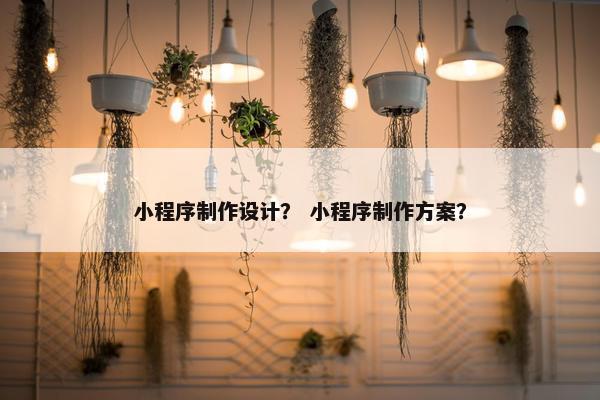 小程序制作设计？ 小程序制作方案？