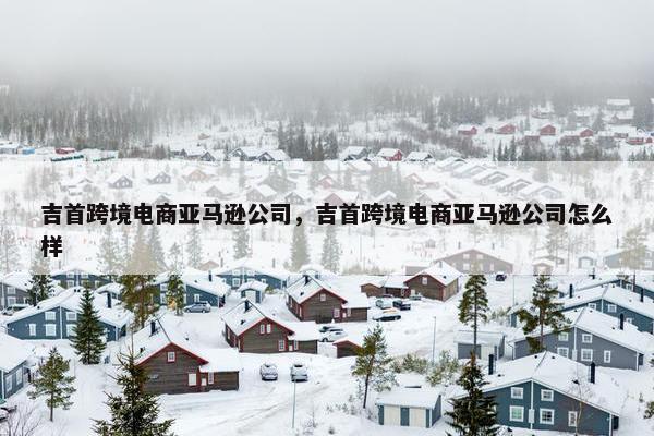 吉首跨境电商亚马逊公司，吉首跨境电商亚马逊公司怎么样