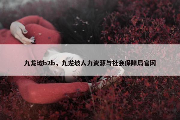 九龙坡b2b，九龙坡人力资源与社会保障局官网