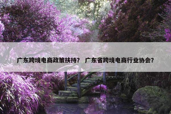 广东跨境电商政策扶持？ 广东省跨境电商行业协会？