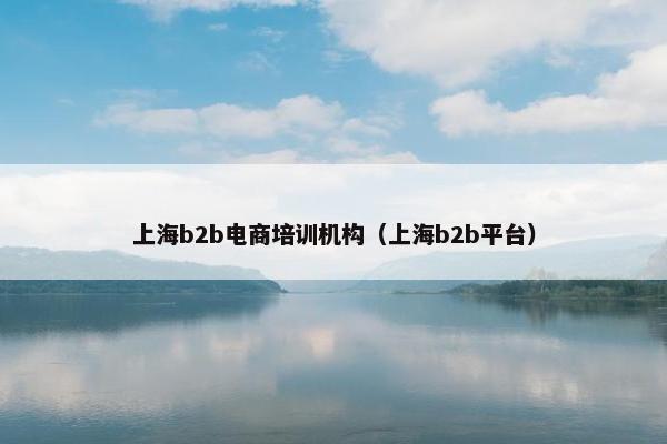 上海b2b电商培训机构（上海b2b平台）
