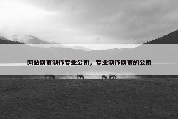 网站网页制作专业公司，专业制作网页的公司