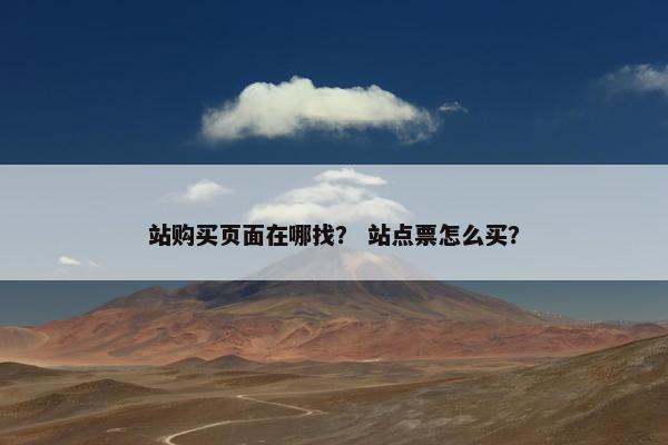站购买页面在哪找？ 站点票怎么买？