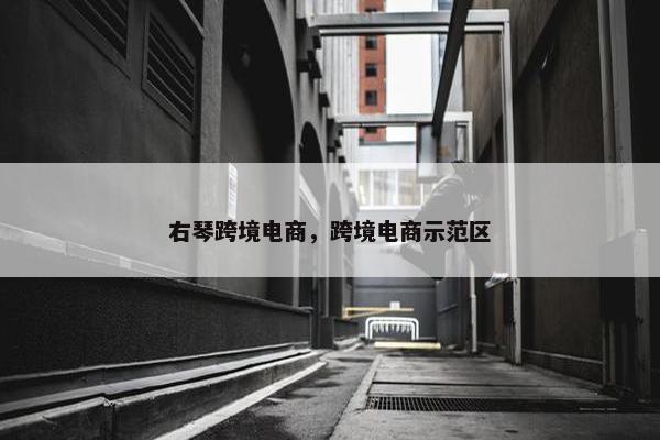右琴跨境电商，跨境电商示范区