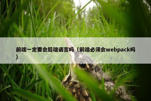 前端一定要会后端语言吗（前端必须会webpack吗）
