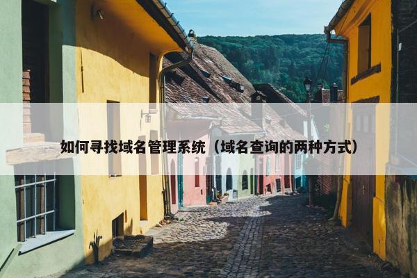 如何寻找域名管理系统（域名查询的两种方式）