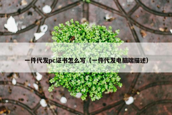 一件代发pc证书怎么写（一件代发电脑端描述）